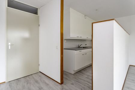 Til Brugmanplantsoen 16, 2525 ZZ, 's-Gravenhage - Photo 5