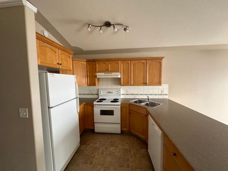 Spacious 2 Bed Apartment + Covered Parking included - Pet Friendly - Photo 4