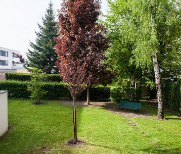location Appartement 3 pièces à Colmar - REF 5287-RS - Photo 5