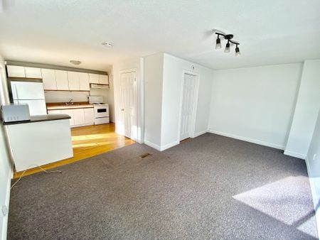 For Lease - 43 Walter Avenue Unit# lower back unit, Newmarket, Ontario - Photo 2