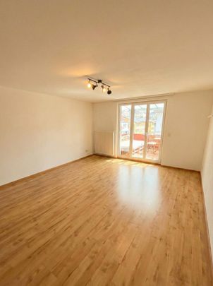 Rent a 4 rooms apartment in Schaffhausen - Photo 1