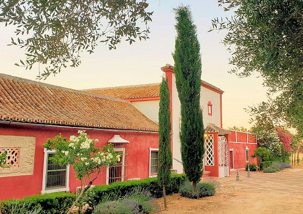 Charming property, the spirit of Andalusia. Carmona Sevilla.