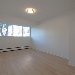 1 CH - 1 SDB - St-Laurent - $1,395 /mo - Photo 2
