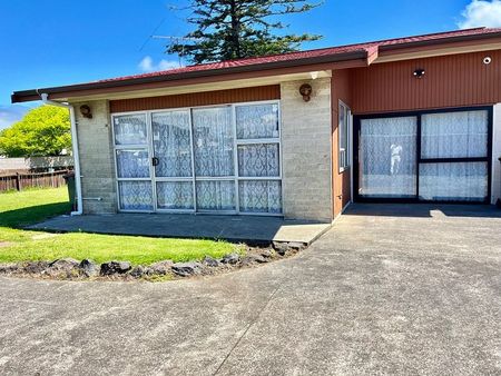 Beautiful 3 Bedroom Unit in Papatoetoe - Photo 3