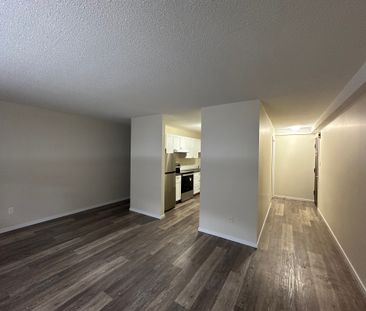 Charming 1 Bed 1 Bath Apartment in heart of DOWNTOWN Red Deer - Photo 1