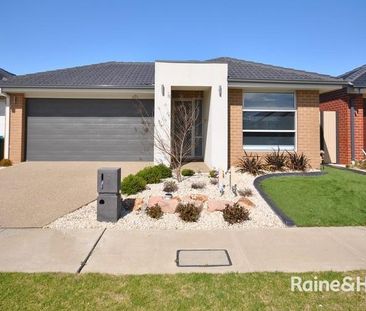 3 Cups Court, Clyde North, VIC 3978 - Photo 5