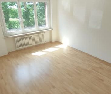 3 Zimmer, EG - Photo 6
