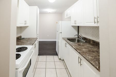 🏡 1 Bedroom - Photo 4