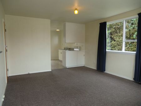 Front 2 bedroom unit in quiet Riccarton block - Photo 2