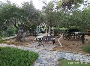 Μονοκατοικία για ενοικίαση - Σούνιο - Photo 4