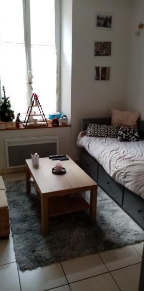 Location Appartement 1 pièce 20m² - Photo 1