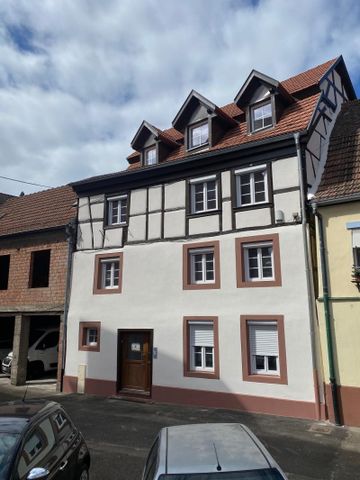 Location Appartement 1 pièce 16m² WISSEMBOURG 67160 - Photo 4