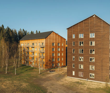 Fru Lovisas Gata, Skellefteå - Foto 4