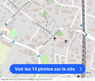 Villa with garden in the heart of Chambésy - Photo 1