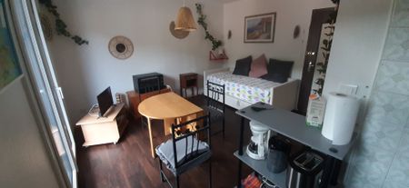 Studio 19.05 m² - 1 pièce - Amélie-Les-Bains-Palalda (66110) - Photo 2
