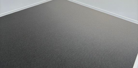 Bells Creek - Photo 2