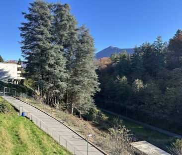 SAVOSA attico 3 locali con terrazza e giardinetto in affitto - Foto 2