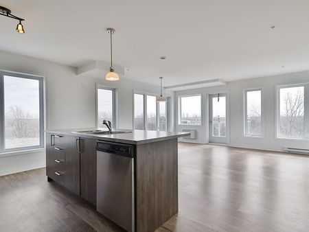 235 Cuvillier Street West, Longueuil, QC - Photo 5