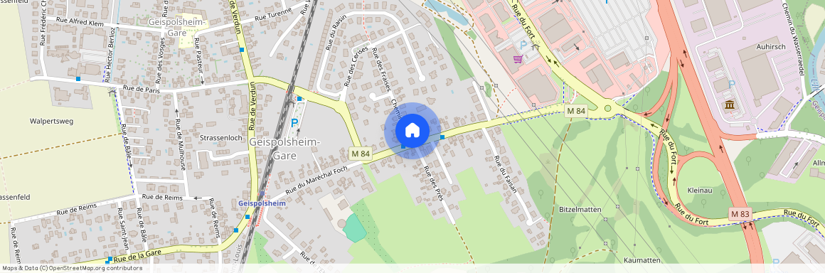 41 Rue Du Maréchal Foch, 67118, Geispolsheim