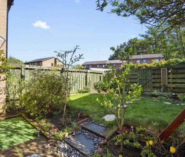 1 bedroom semi-detached house to rent - Photo 1