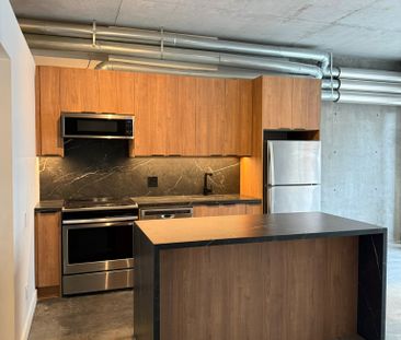 Camden Lofts , #301 - Photo 6