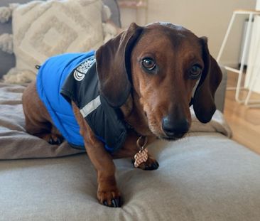 Hoppers Crossing - Photo 5