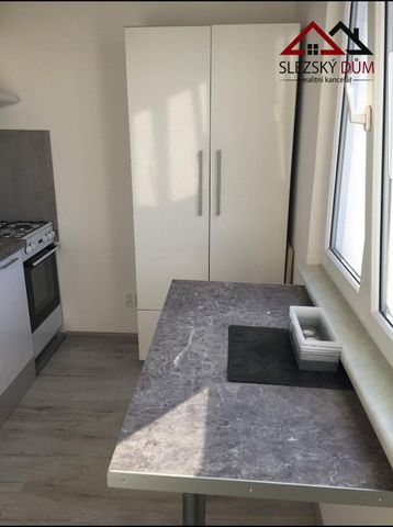 Pronájem bytu 2+1 56 m2 - Photo 5