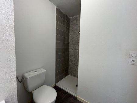 Location Appartement 1 pièce 19m² AUZEVILLE TOLOSANE 31320 - Photo 2