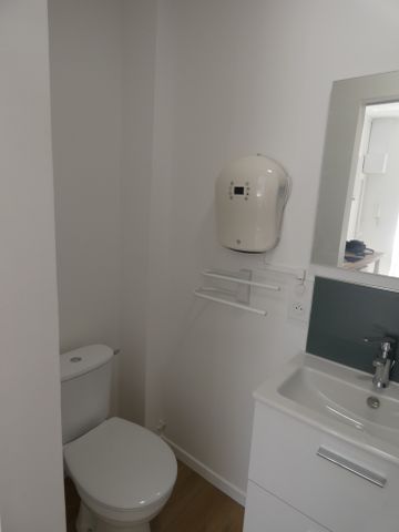 Location Appartement 1 pièce 12m² BEAUNE 21200 - Photo 4