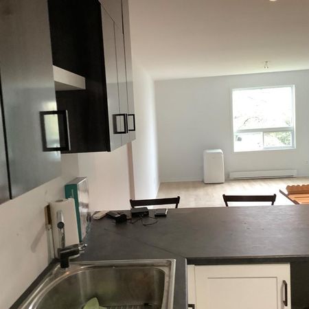 Condo 4 1/2 bord du fleuve rénove à louer ou vendre - Photo 3