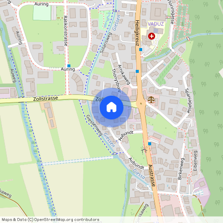 Zollstrasse 7, 9490 Vaduz LI