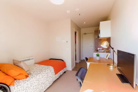 Standard Studio - Photo 4