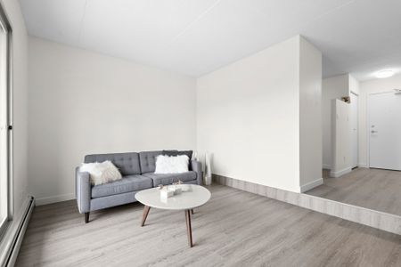 Penthouse Apartments - Photo 4