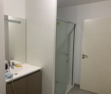 CASTELNAU LE LEZ - T1 - 25.18 M² - Photo 5