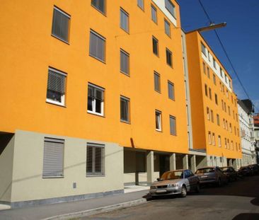 Schöne Wohnung in zentraler Lage - Provisionsfrei! - Foto 2