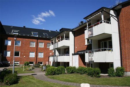 Dejegatan 40B - Foto 3