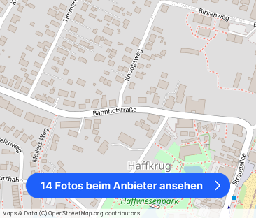 Großzügig wohnen in Haffkrug: 3 Zimmer, Wintergarten, Garten & Garage - Foto 1