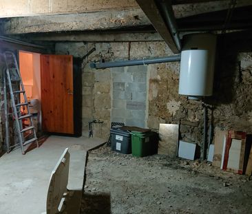 Location Appartement 3 pièces 52m² LE POUGET 34230 - Photo 5