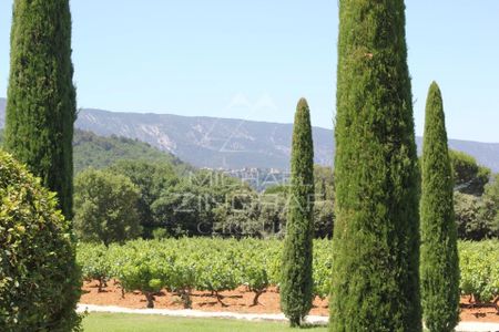 Ménerbes - Sublime mas provençal avec vue sur le Luberon et piscine - Photo 2