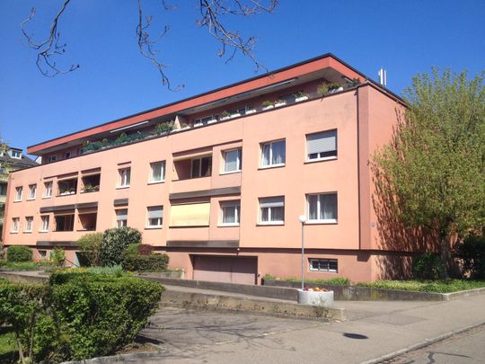 Nachmieter gesucht - Wohnen im Neubad-Quartier - Photo 1