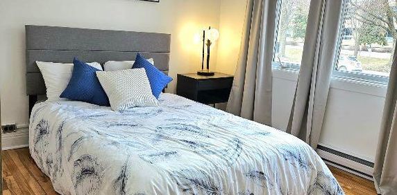 5 1/2 meuble Montreal près métro Université - Photo 2