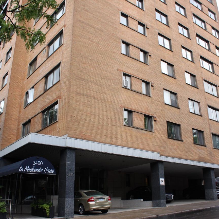 Appartement à louer à Montréal (Ville-Marie) - Photo 1