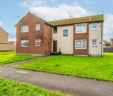 Maurice Avenue - Photo 6