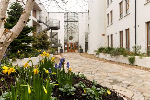 41 The Pine Winter Garden Pearse Street Dublin 2 - Photo 1