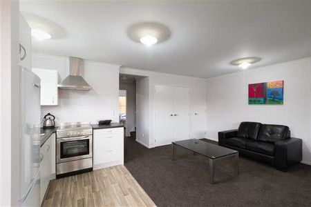 Modern Furnished Studio Rooms – Prime Lorne Street Location Located on Lorne Street, just a 5-minute walk to Waikato and Braemar Hospitals and close to the CBD and Wintec, these stylish studio rooms offer convenient, low-maintenance living — perfect for singles or couples. - Photo 3