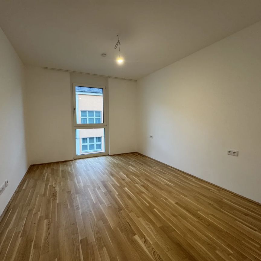 3-Zimmer Neubau! Angenehm, ruhige Lage nahe dem Riverside! JETZT ANFRAGEN! - Foto 1