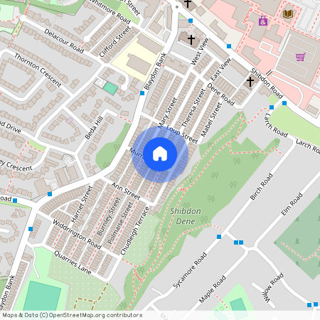 Theresa Street, Blaydon-on-Tyne NE21