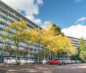 Apartment Leiden - Zijldonk - Foto 3