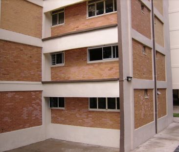 Blk 242 Tampines Street 21 (Tampines), HDB 4 Rooms - For Rent - Photo 4