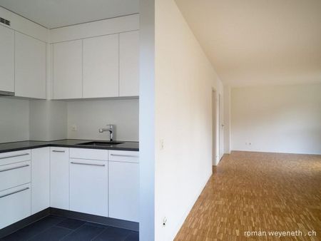 Quiet residential area near the Rhine - Photo 5